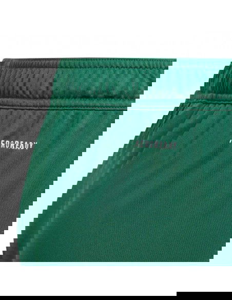 Adidas Tiro 24 Jr IT2409 shorts