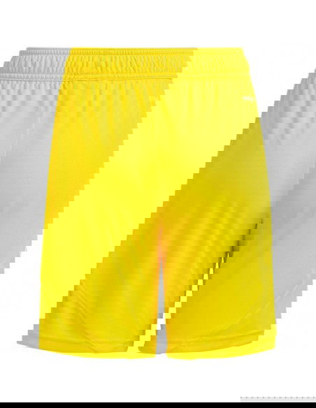 Adidas Tiro 24 Jr IT2410 shorts