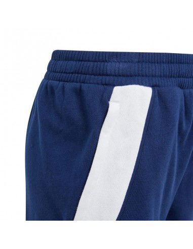 Adidas Tiro 24 Sweat Jr IS1008 pants