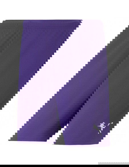 Puma teamRise Short Prist M 704942 10