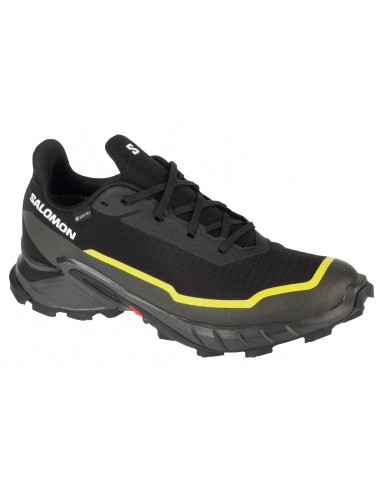 Ανδρικά > Παπούτσια > Παπούτσια Αθλητικά > Τρέξιμο / Προπόνησης Salomon Alphacross 5 GTX 474604