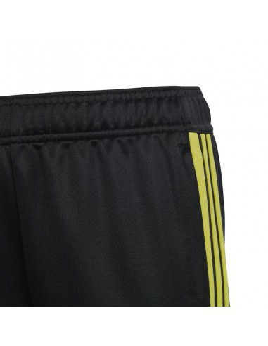 Adidas Tiro 23 Club Training Jr IC1587 pants