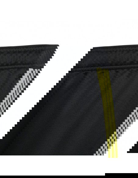 Adidas Tiro 23 Club Training Jr IC1587 pants