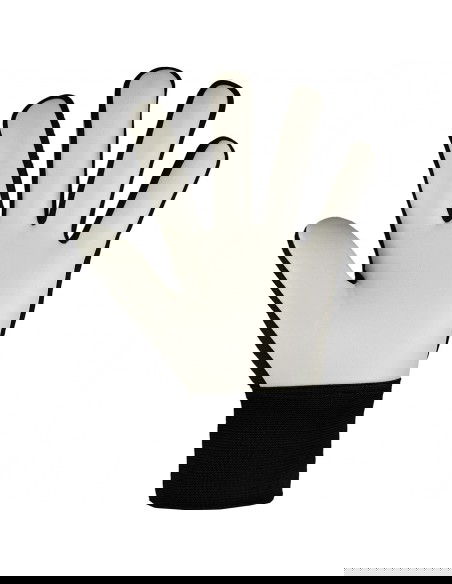 Reusch Attrakt Starter Solid gloves 54 70 514 7700