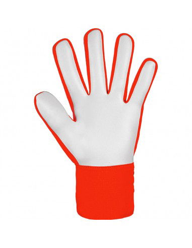 Reusch Attrakt Starter Solid gloves 54 70 514 2210