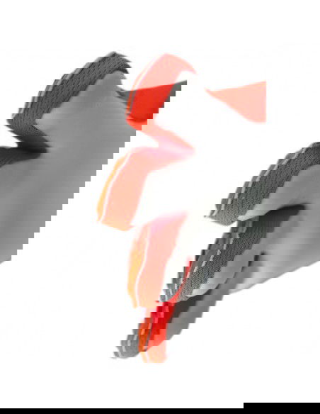 Reusch Attrakt Starter Solid gloves 54 70 514 2210