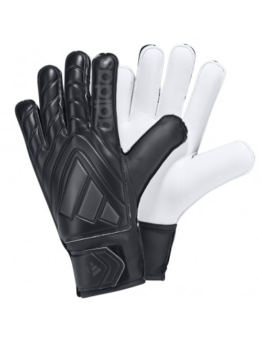 Adidas Copa GL CLB IW6282 gloves