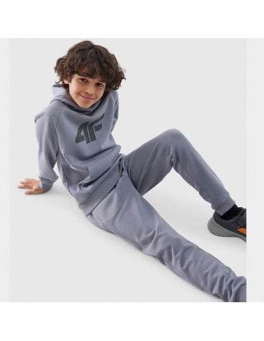 4F sweatshirt 4FJWSS24TSWSM0925 34S