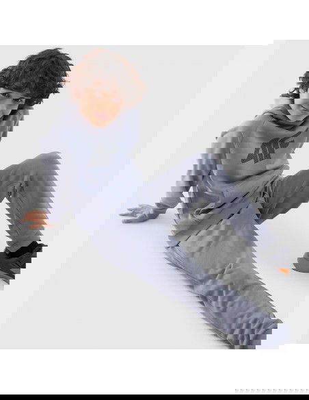 4F sweatshirt 4FJWSS24TSWSM0925 34S