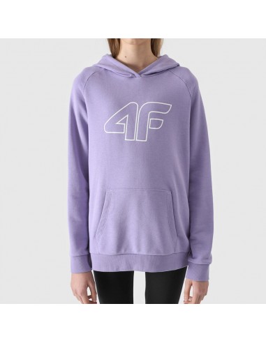 4F sweatshirt 4FJWSS24TSWSF0921 52S