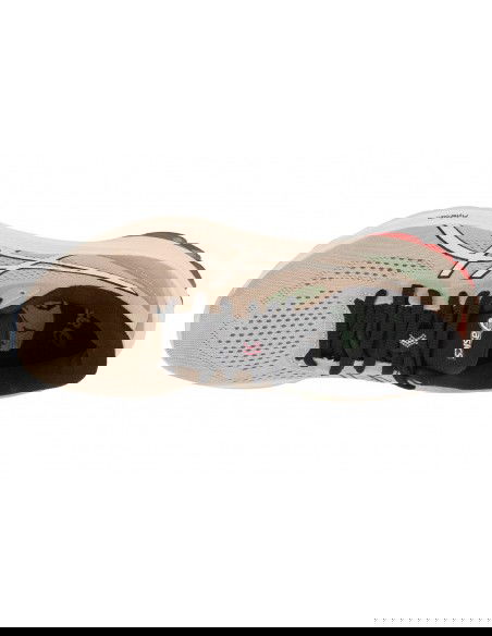 ASICS GT1000 12 TR 1012B575250