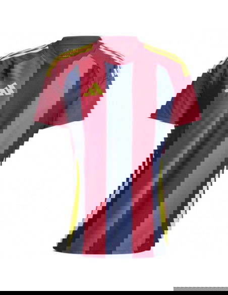 Adidas STRIPED 24 JSY Tshirt IW2149