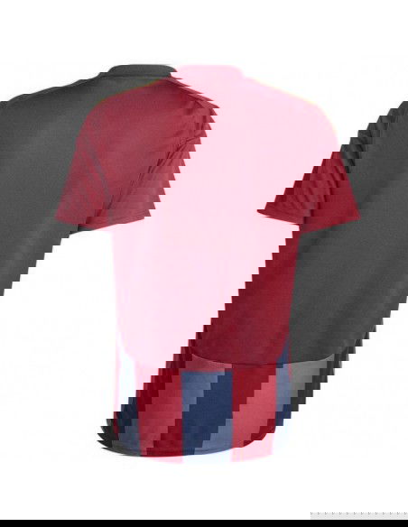 Adidas STRIPED 24 JSY Tshirt IW2149