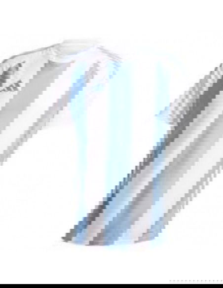 Adidas STRIPED 24 JSY IW4555 Tshirt