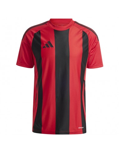 Adidas STRIPED 24 JSY Tshirt IW4556