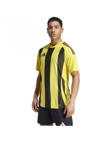 Adidas STRIPED 24 JSY Tshirt IW2146