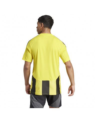 Adidas STRIPED 24 JSY Tshirt IW2146