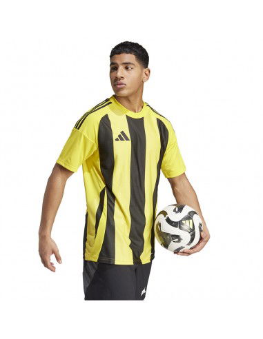 Adidas STRIPED 24 JSY Tshirt IW2146