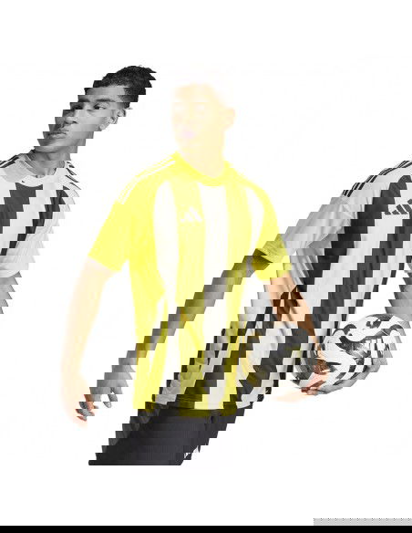 Adidas STRIPED 24 JSY Tshirt IW2146