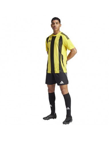 Adidas STRIPED 24 JSY Tshirt IW2146