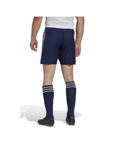 Adidas Condivo 22 M shorts HA3505