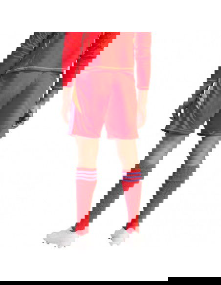 Adidas Tiro 24 M IT2416 shorts