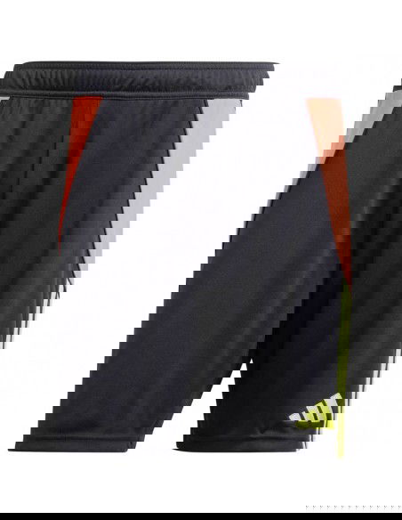 Adidas Tiro 24 M IT2411 shorts