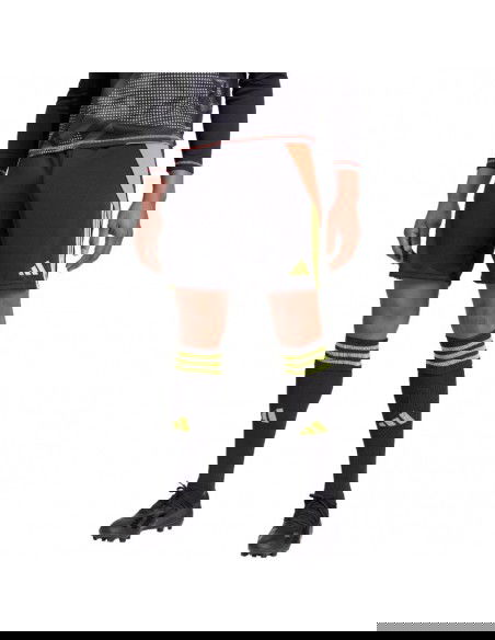 Adidas Tiro 24 M IT2411 shorts