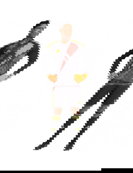 Adidas Tiro 24 M IT2411 shorts