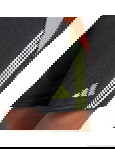 Adidas Tiro 24 M IT2411 shorts