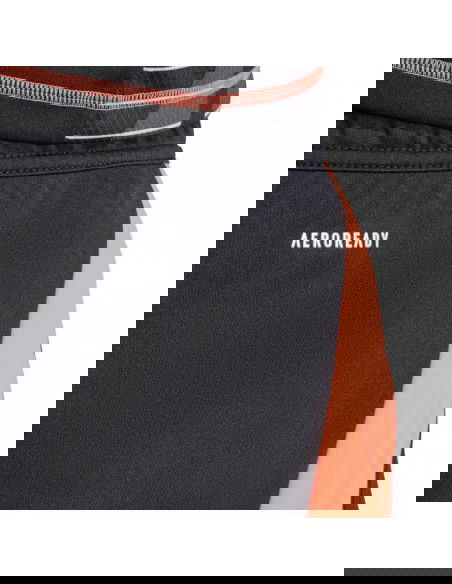 Adidas Tiro 24 M IT2411 shorts