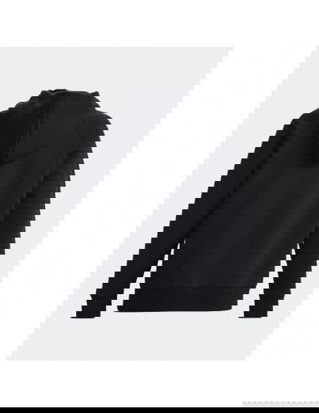 Under Armour W sweatshirt 1379500001