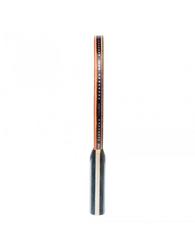 Hitec Challenge racket 92800438369