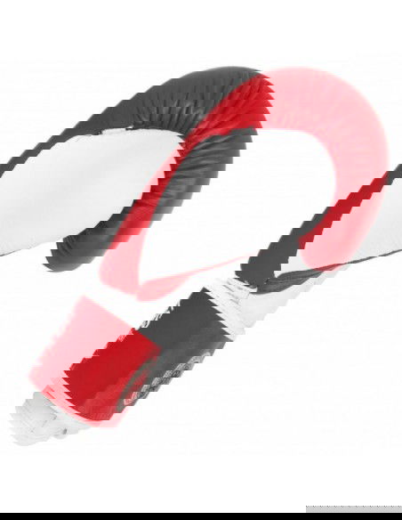 Leather boxing gloves MASTERS RBTTRW 0121002