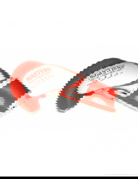 Boxing gloves Masters RbtPZKBW 01110102W