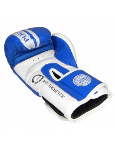 Boxing gloves Masters RbtPZKBW 01110102W