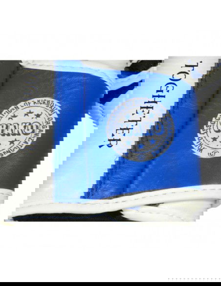 Boxing gloves Masters RbtPZKBW 01110102W