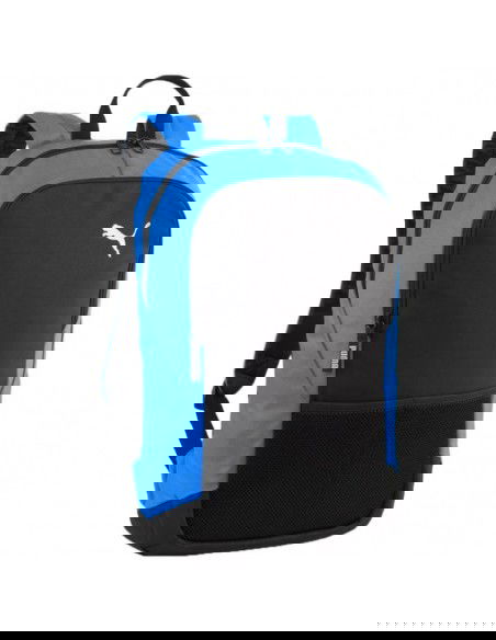 Puma Team Goal backpack 90239 02