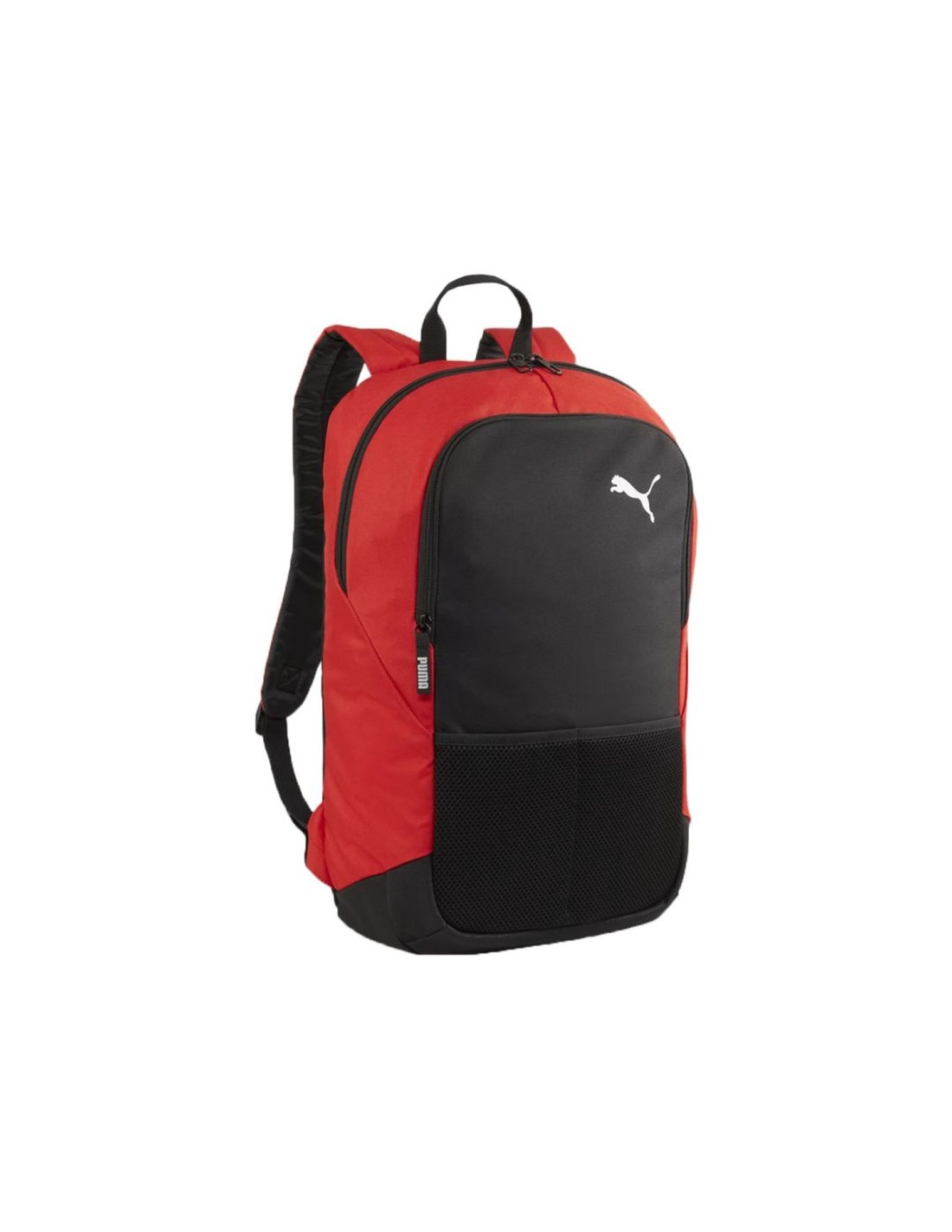 Puma Team Goal backpack 90239 03
