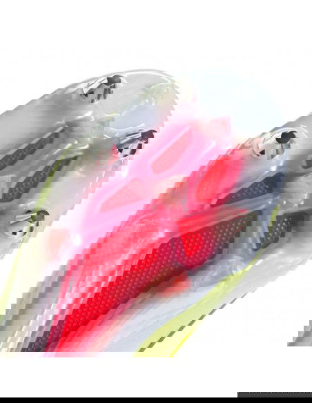 Adidas X Crazyfast Elite SG M IF0665 football shoes