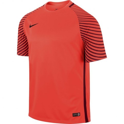 Nike Gardien M 725889-671 Goalkeeper jersey