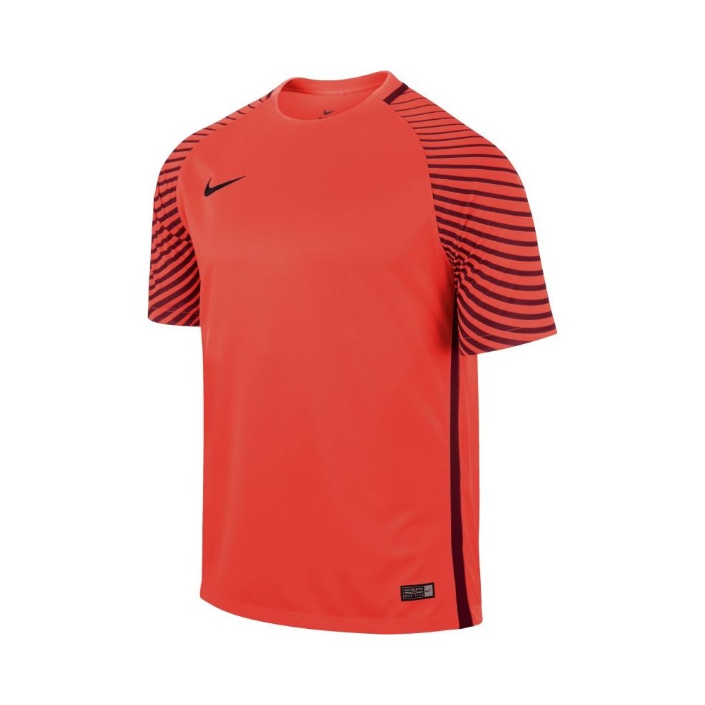 Nike Gardien 725889-671 Ανδρική Φανέλα Τερματοφύλακα Ποδοσφαίρου
