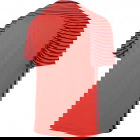 Nike Gardien M 725889-671 Goalkeeper jersey 2