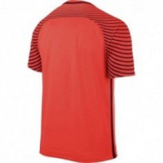 Nike Gardien M 725889-671 Goalkeeper jersey