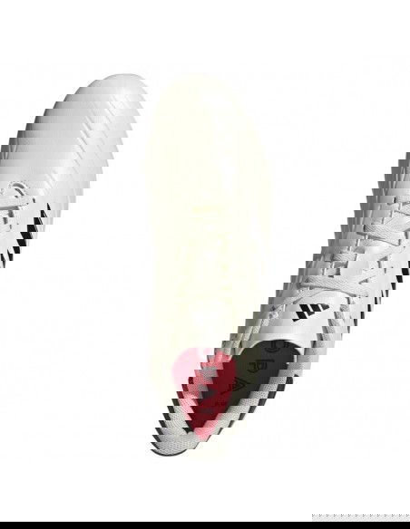 Adidas COPA PURE2 Club FxG IG1099 shoes