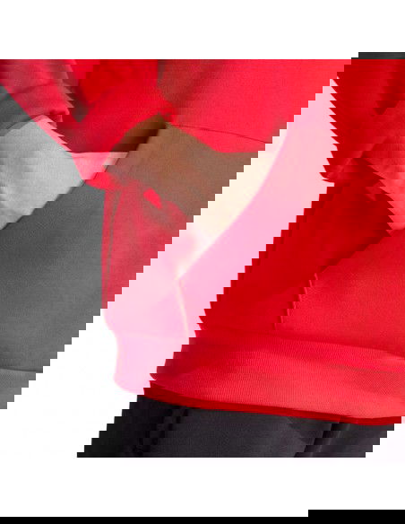 Adidas FI Bos Hd Oly M sweatshirt IS8338