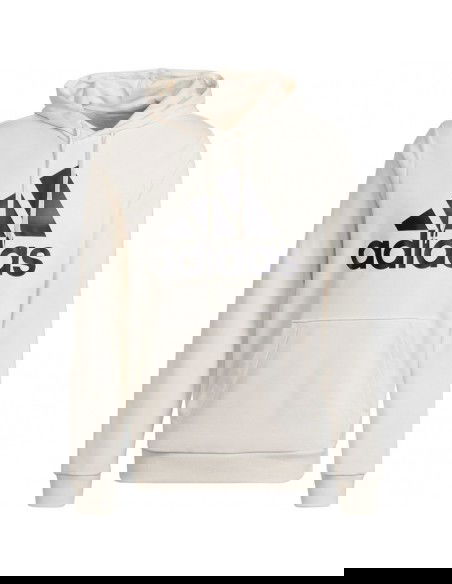 Adidas Big Logo Hoody FT HD M HE1846 sweatshirt