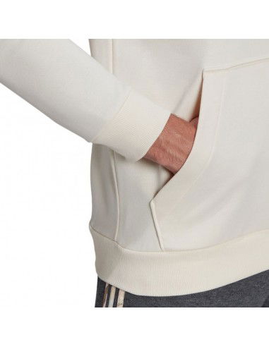 Adidas Big Logo Hoody FT HD M HE1846 sweatshirt