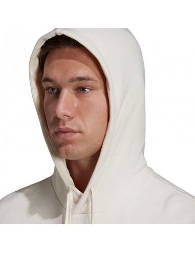 Adidas Big Logo Hoody FT HD M HE1846 sweatshirt