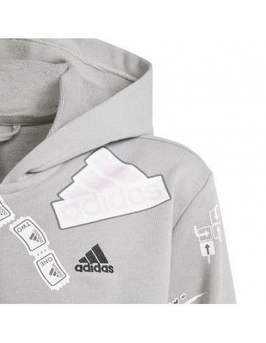Adidas Biuv Zip Hoodie Jr IS3755 sweatshirt